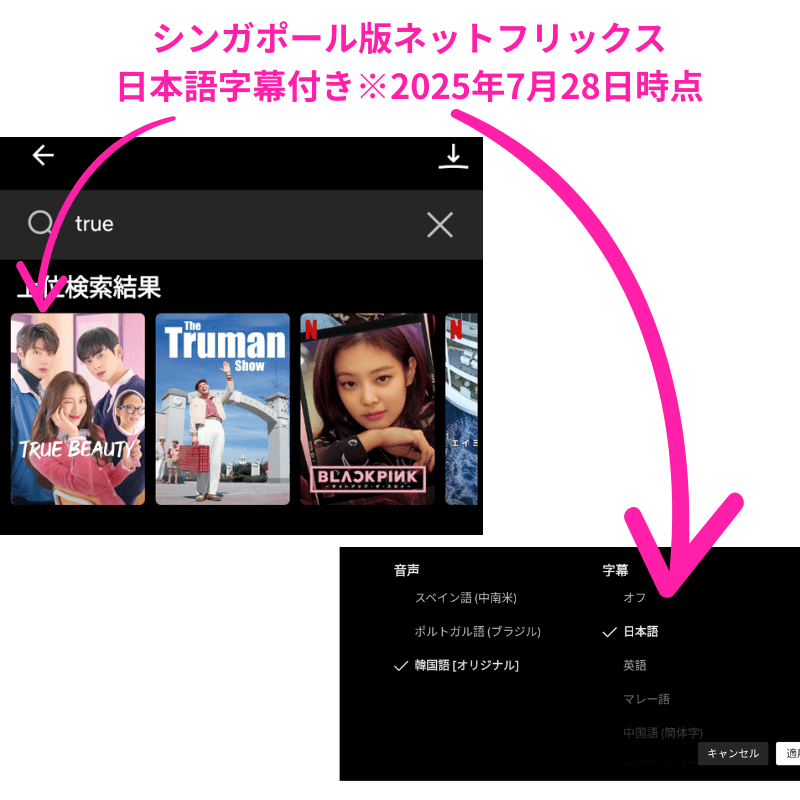 シンガポール ネトフリ 女神降臨 配信中