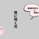夜に咲く花アイキャッチ