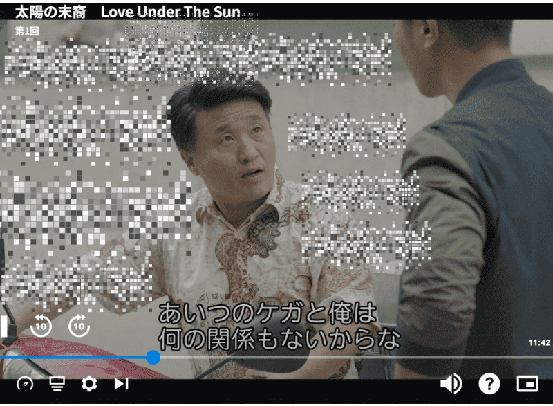 太陽の末裔 U-NEXT 日本語字幕