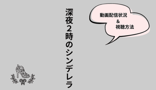 韓国ドラマ『深夜2時のシンデレラ』の配信はどこで見られる？NetflixやHuluなどを調査